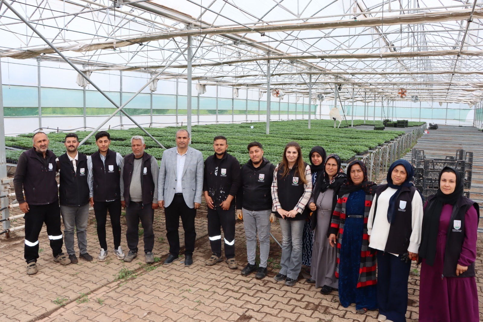 Şanlıurfa Büyükşehir Belediyesi Kendi Serasında Üretti, Şehrin Dört Bir Yanını Çiçeklerle Donattı